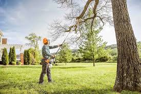 Best Hazardous Tree Removal  in Bellefontaine, OH